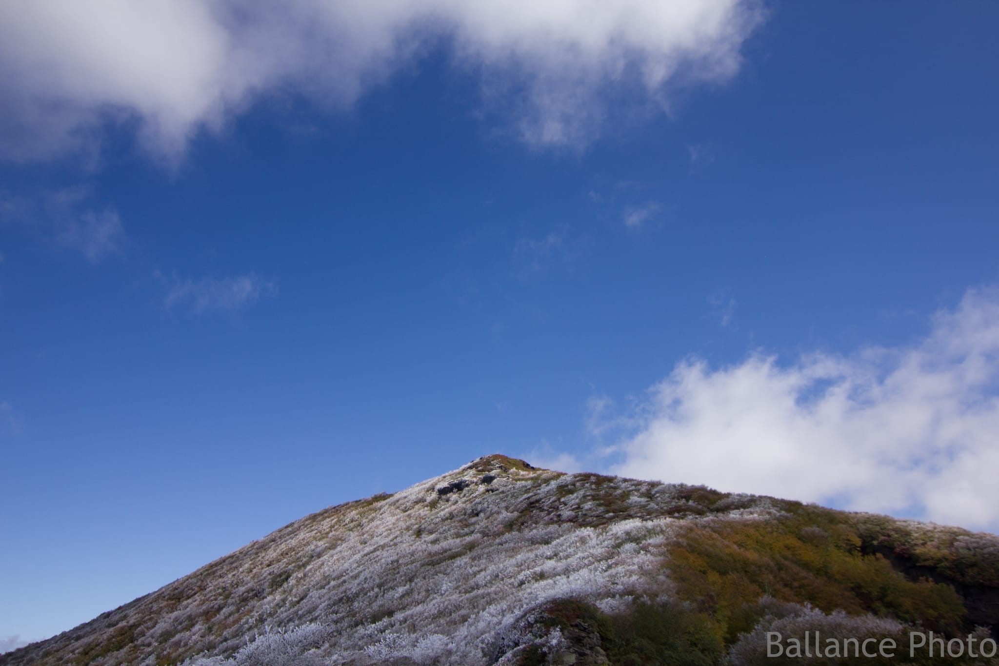 Hoarfrost on the mountain - Blue Ridge Parkway