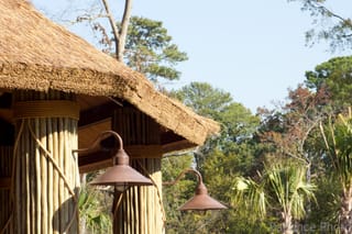 Thatch roof with lights - Birmingham Zoo