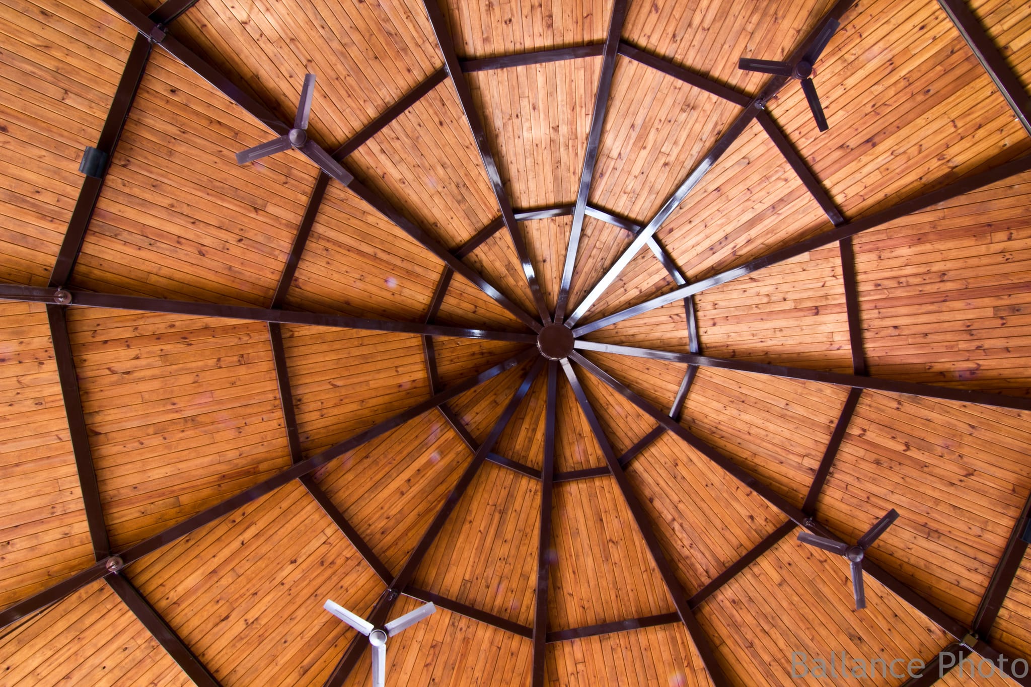 An interesting ceiling - Birmingham Zoo