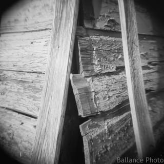 Holga (10 of 12)