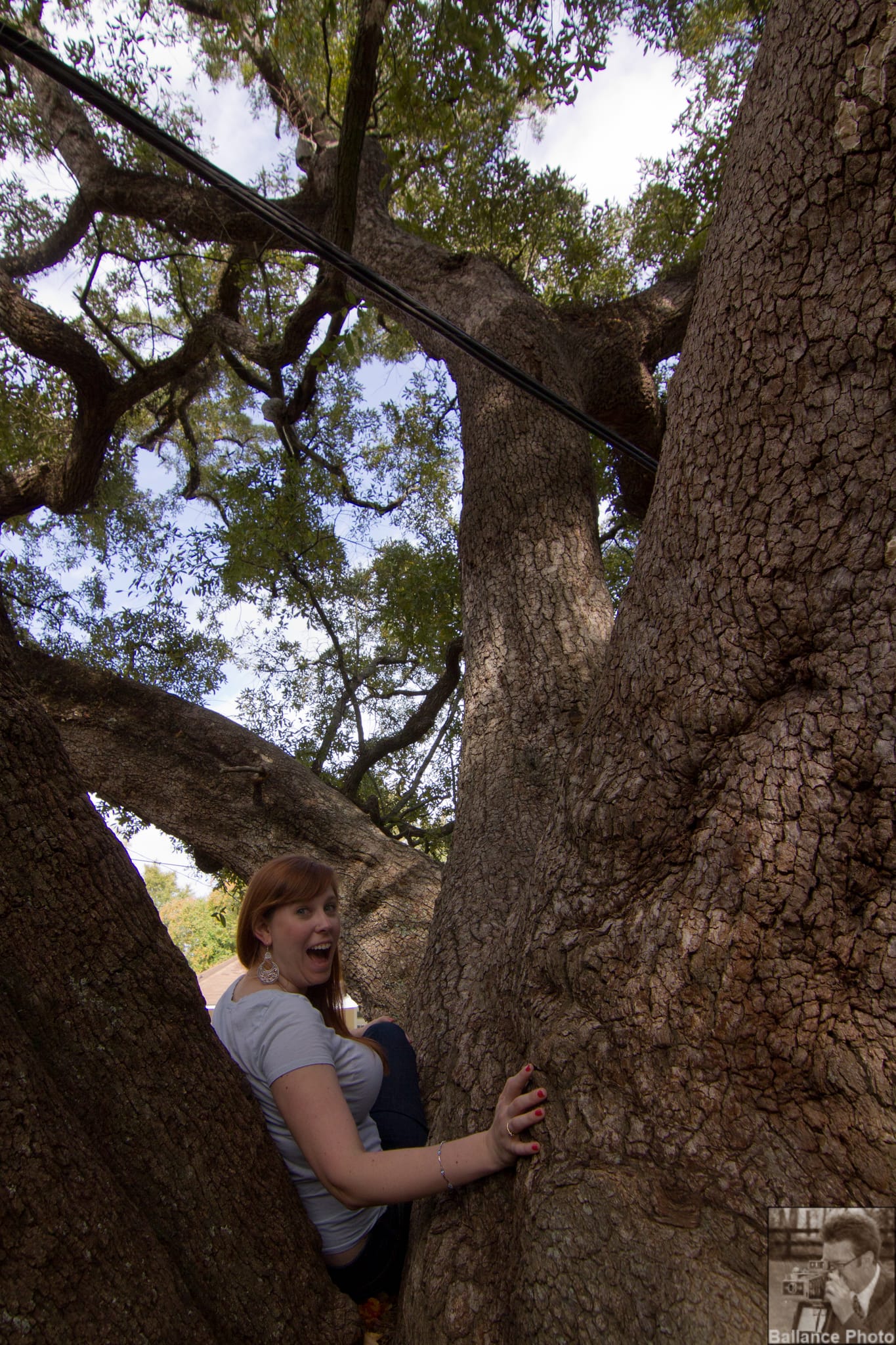 Excited Kate in a 300 year old tree