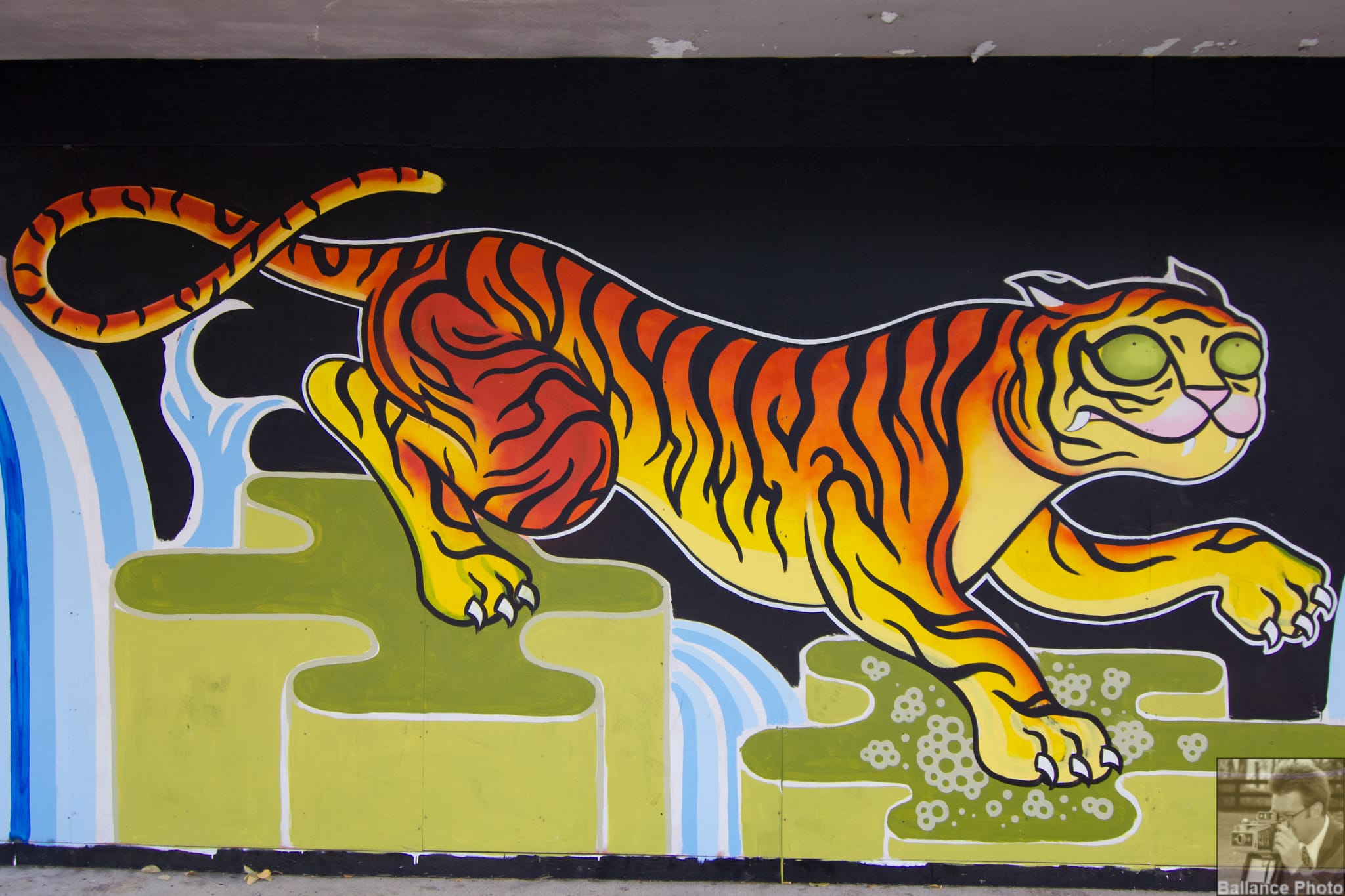 Tiger Wall Art - Mobile, AL