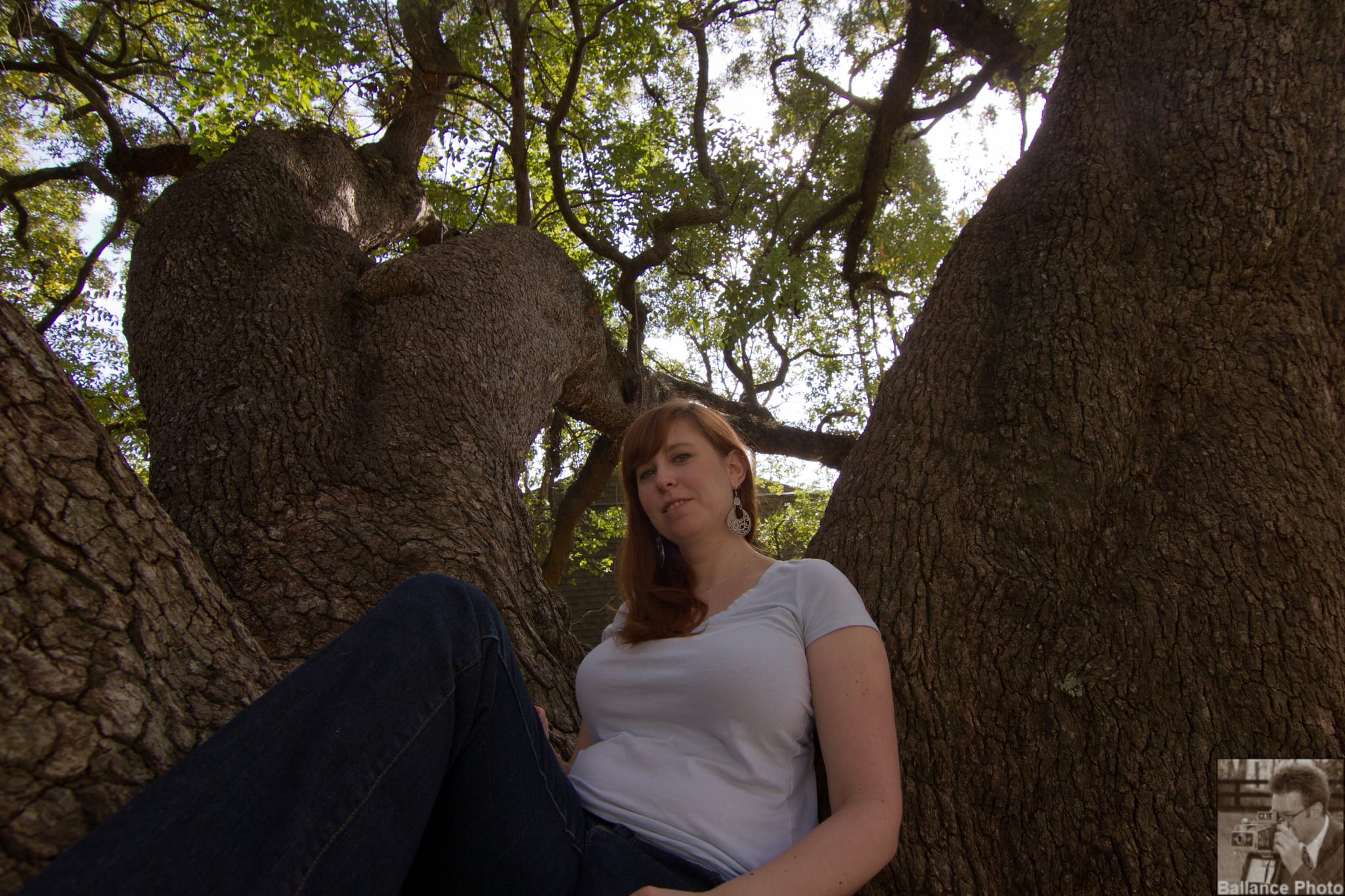 Kate in a 300 year old tree
