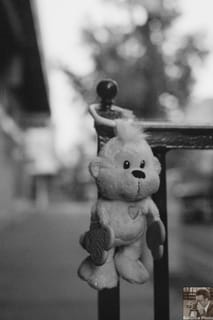Monkey on the rail