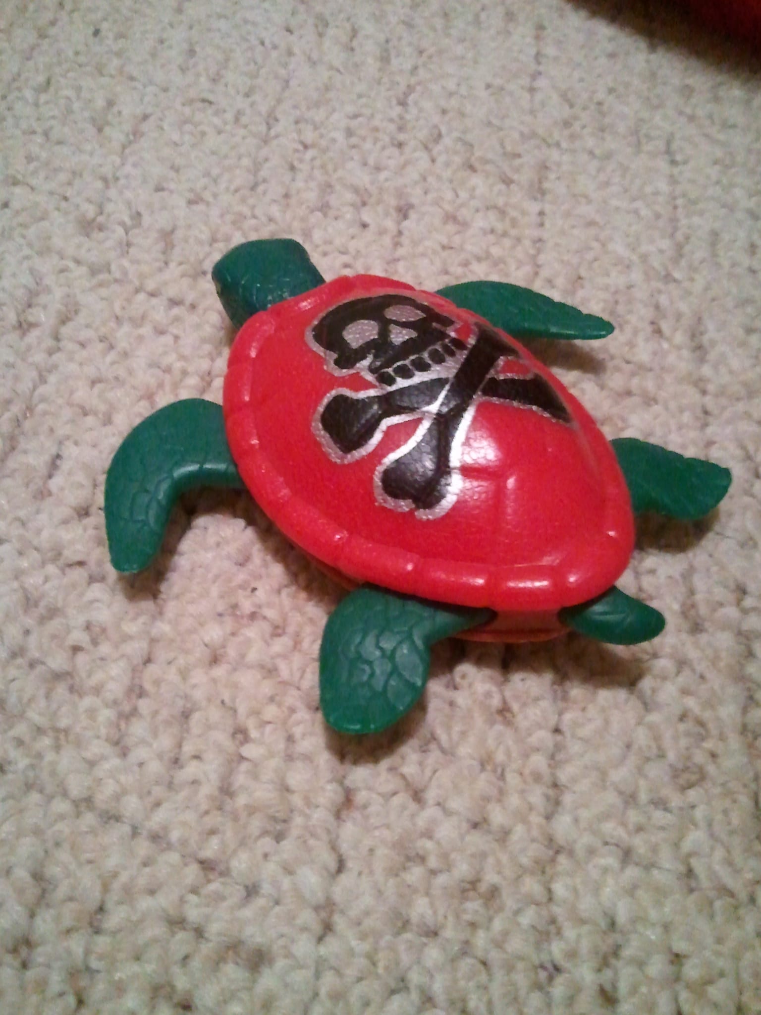 Pirate/Ninja turtle