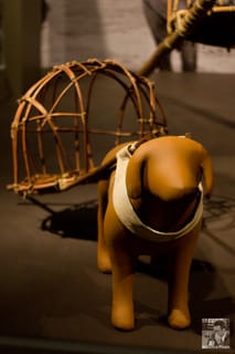 Walk the dog American Indian Museum - Washington, DC
