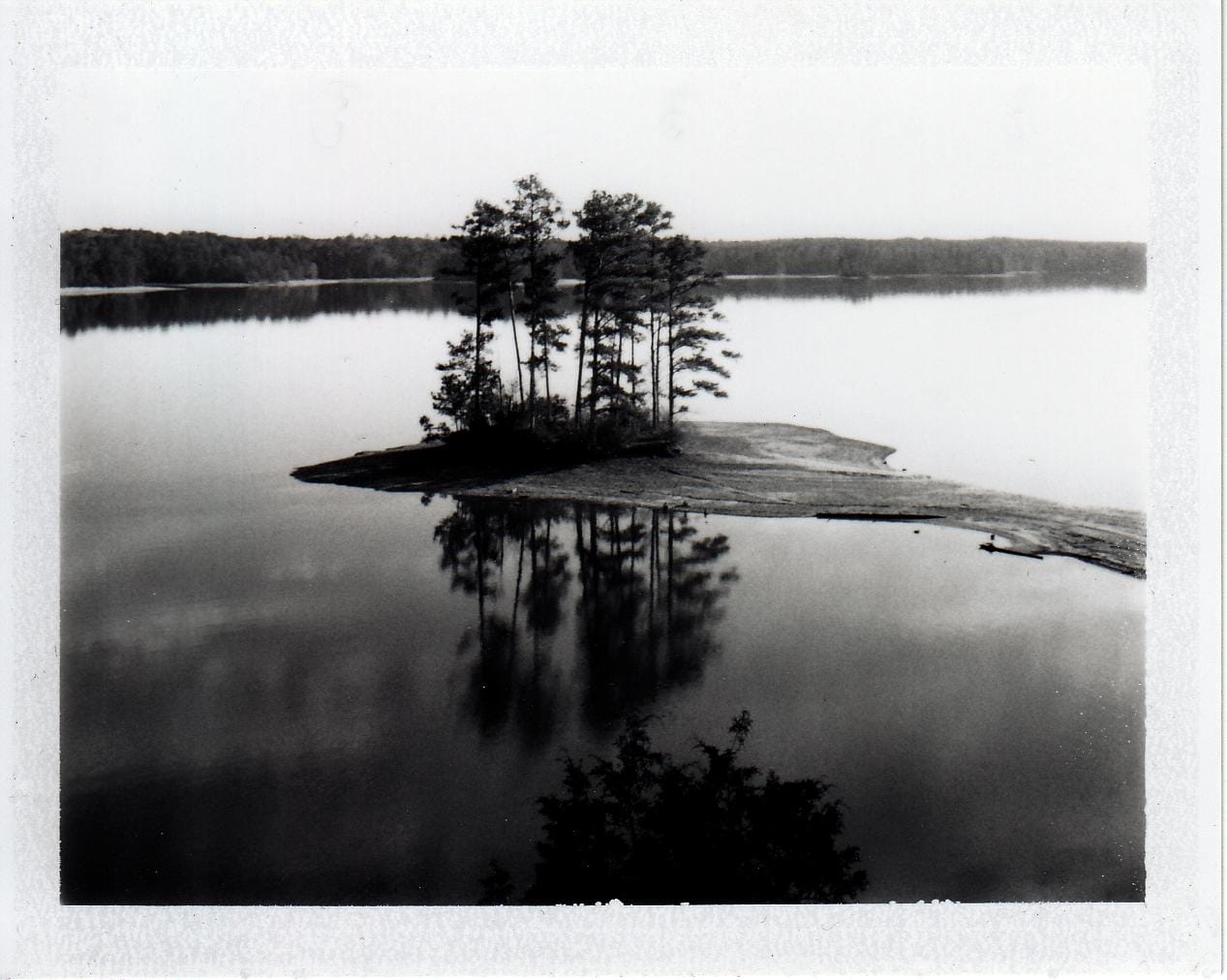Lake Martin