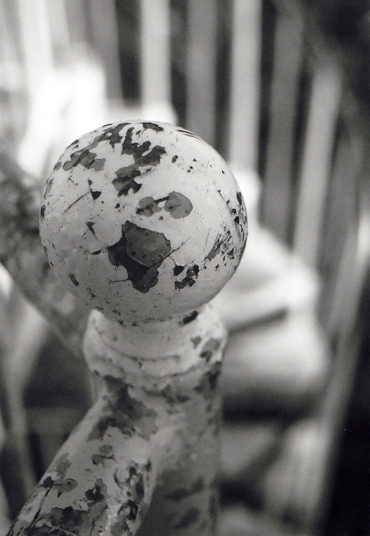 Knobby Knob