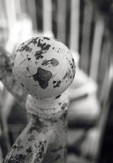 Lake Martin