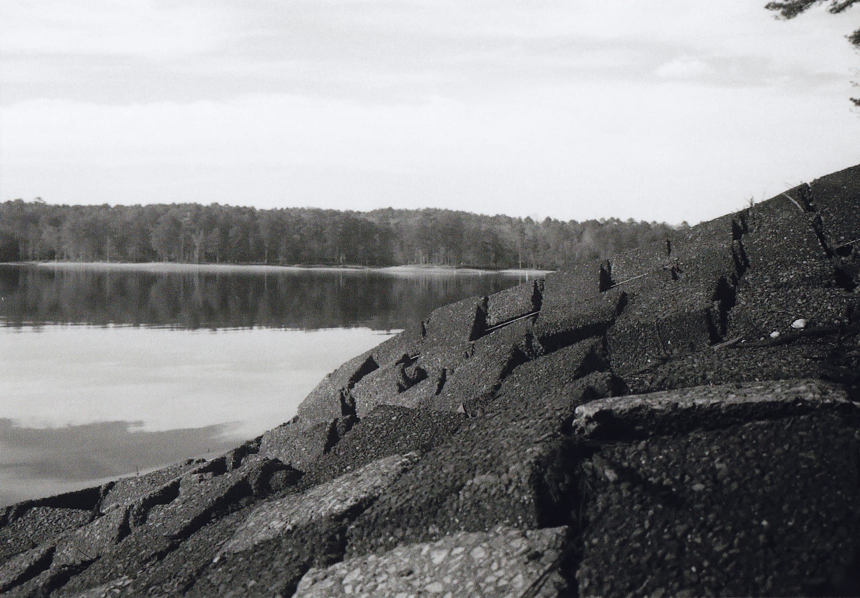 Bricks on the shore