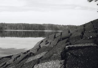 Bricks on the shore