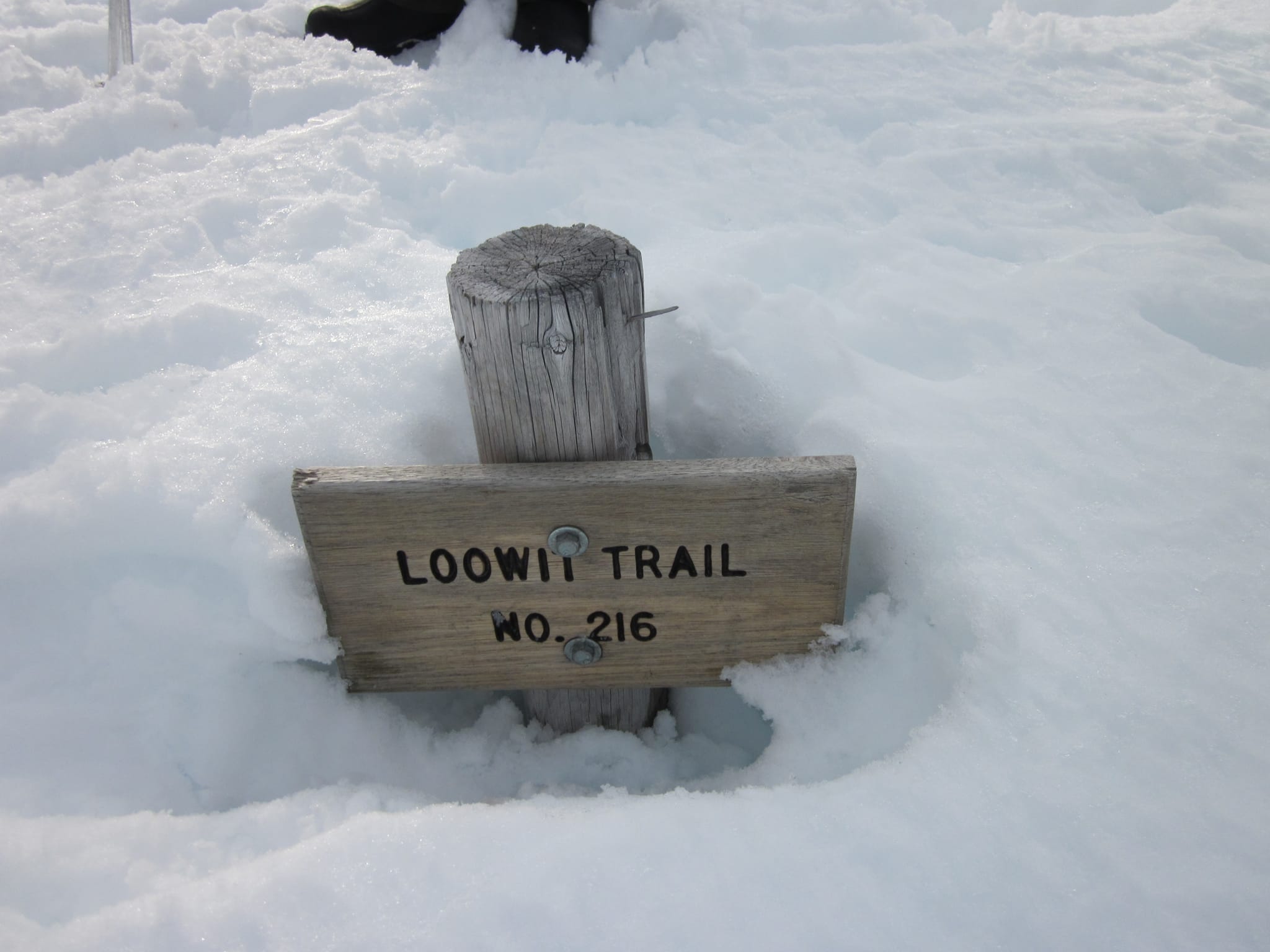 Loowit Trail No. 216 - covered in snow.