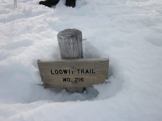 Loowit Trail No. 216 - covered in snow.