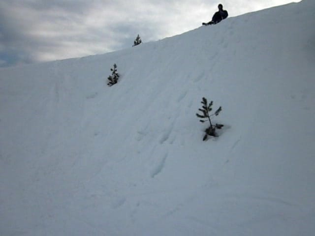 Mt St Helens