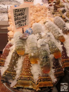 Fancy Jumbo Grilling Lobster Tails - Pike's Place Market
