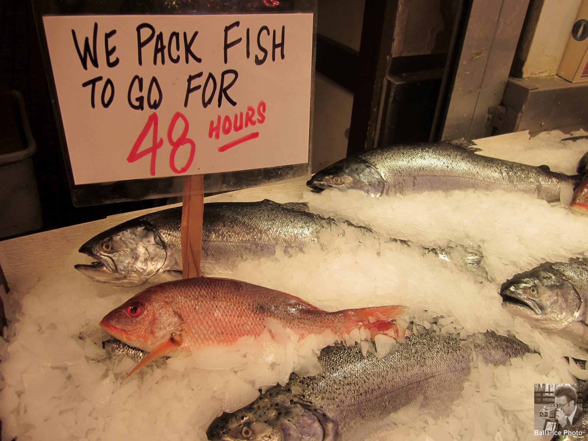 We pack fish to go for 48 hours - Pike's Place Market