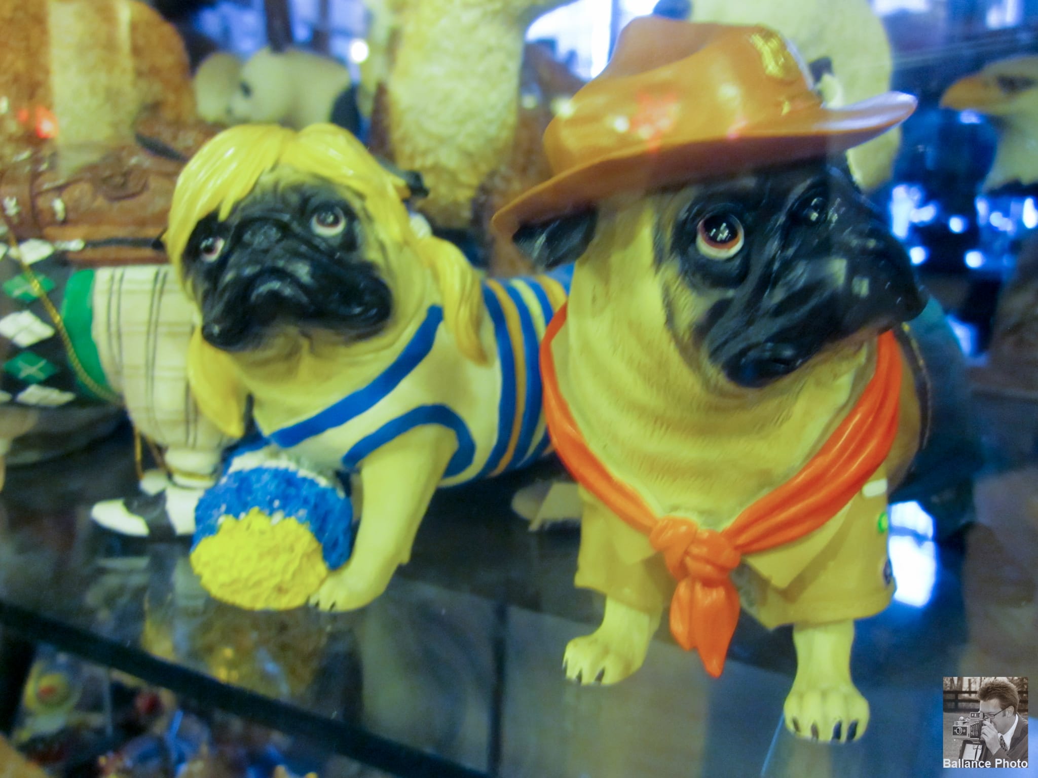 Puggy - Pike's Place Market
