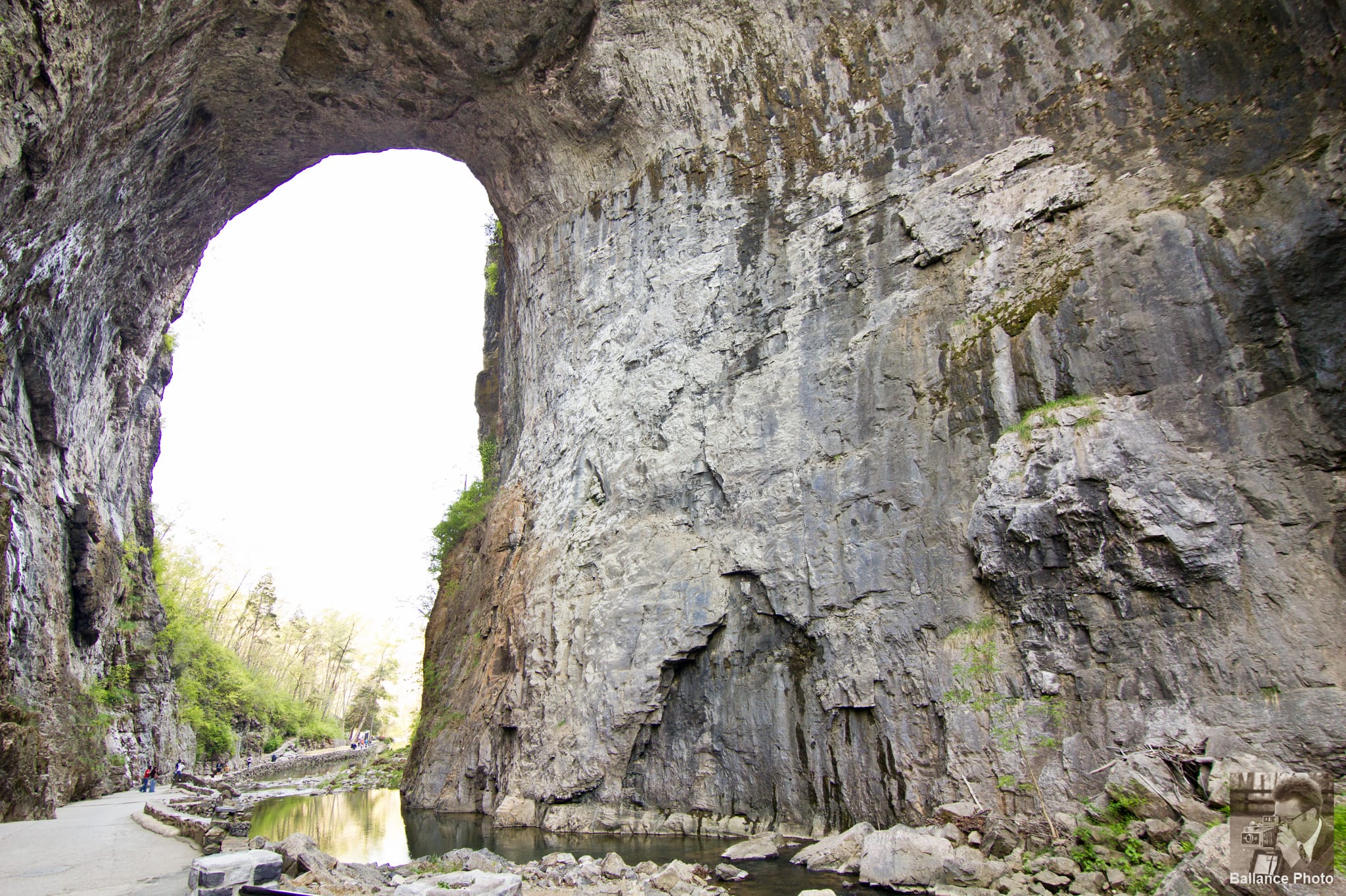 Arch