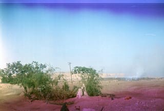 Egypt-8