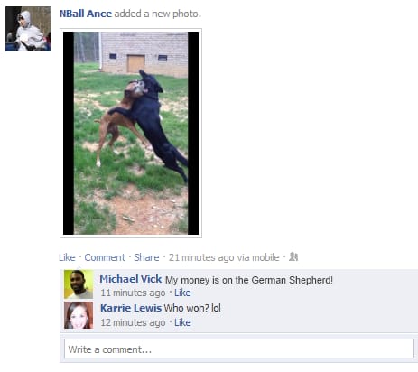 Vick