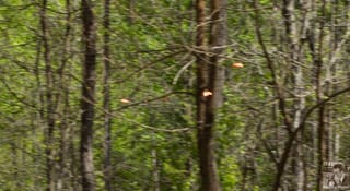 Skeet Shooting-2