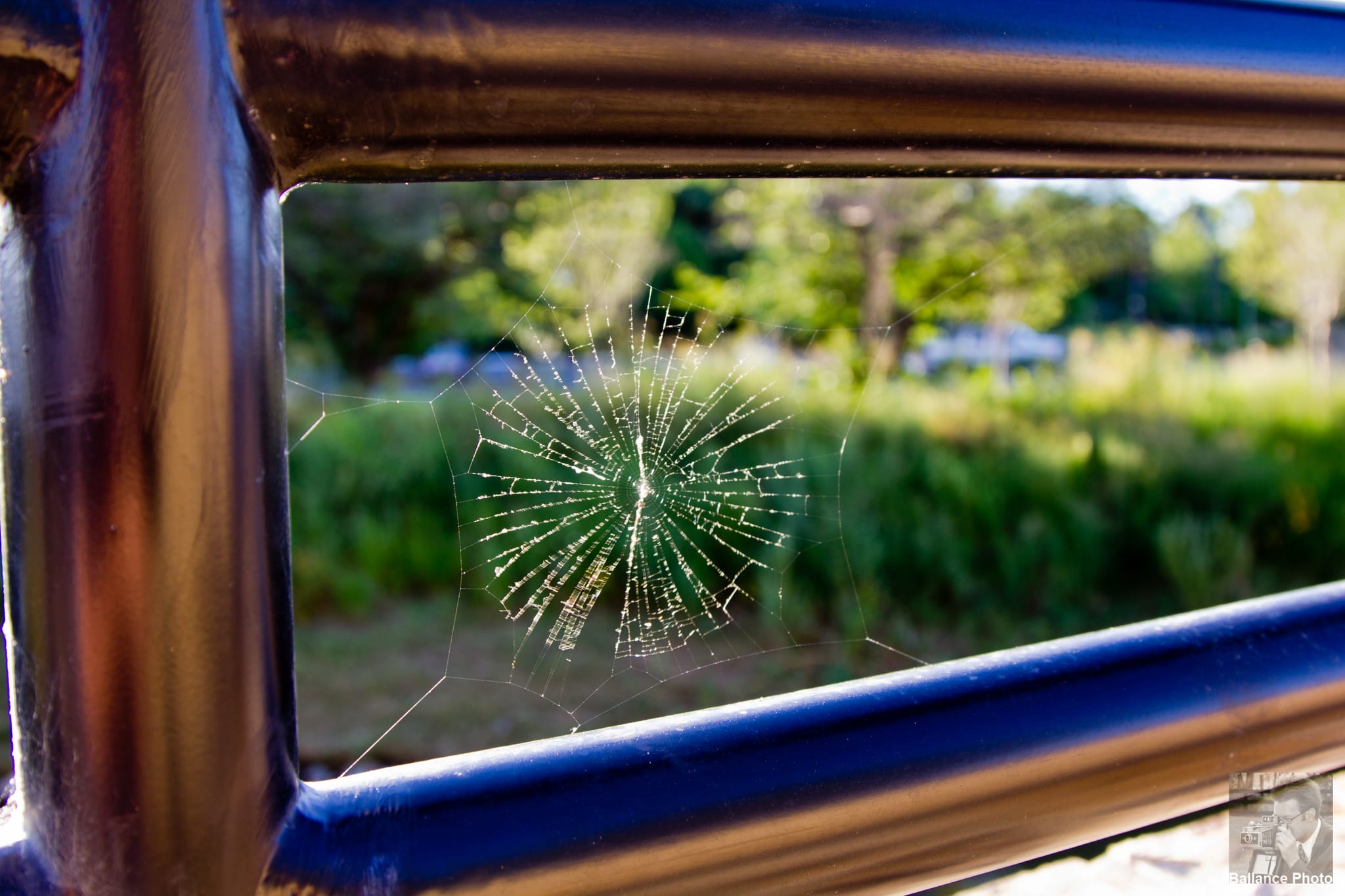 web on rail