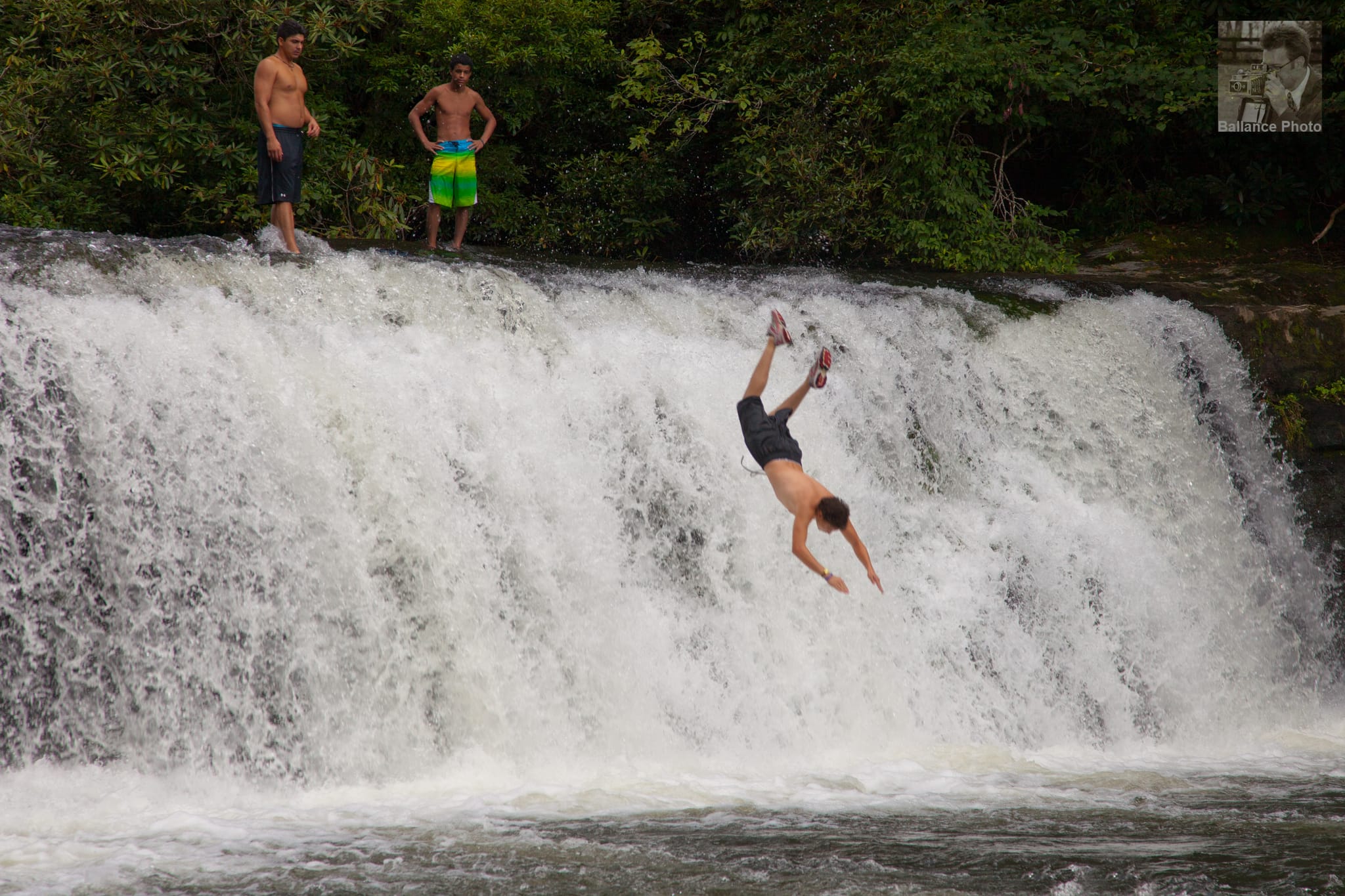 Swan Dive