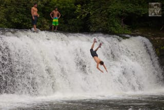 Swan Dive