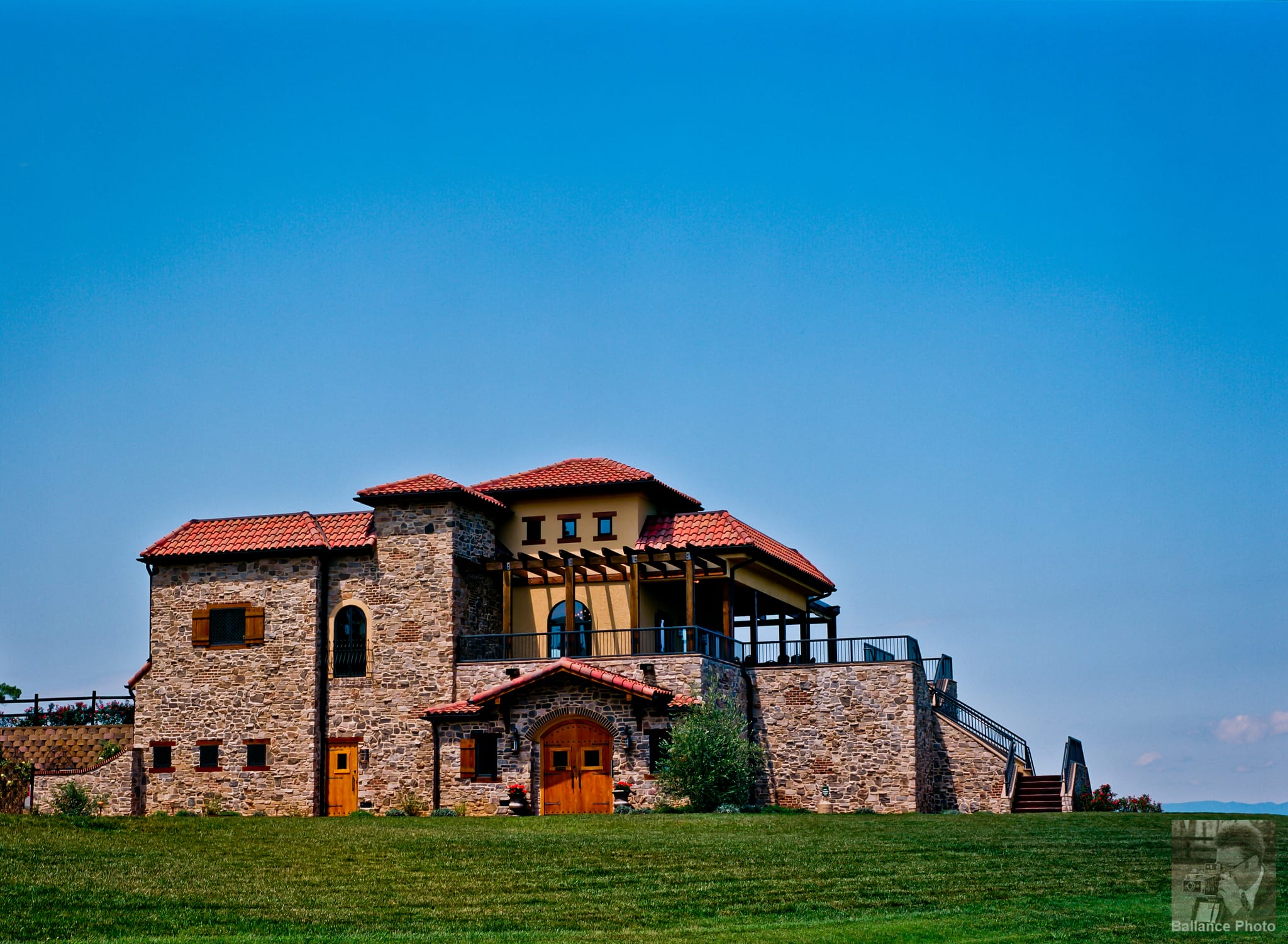 Rafaldini Vineyard