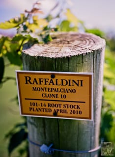 Rafaldini - Monteplaciano