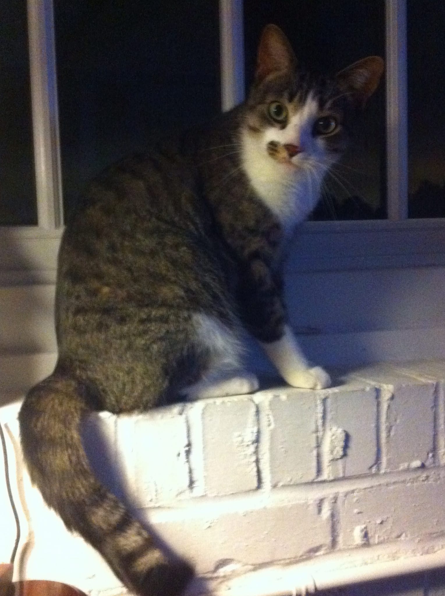Whut?  Liez, all teh liez!