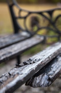 Weathered Bench - Grange, Georgia