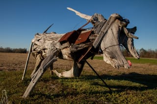 Wood Steer