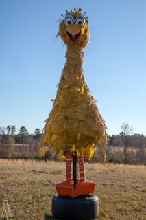 Big Bird