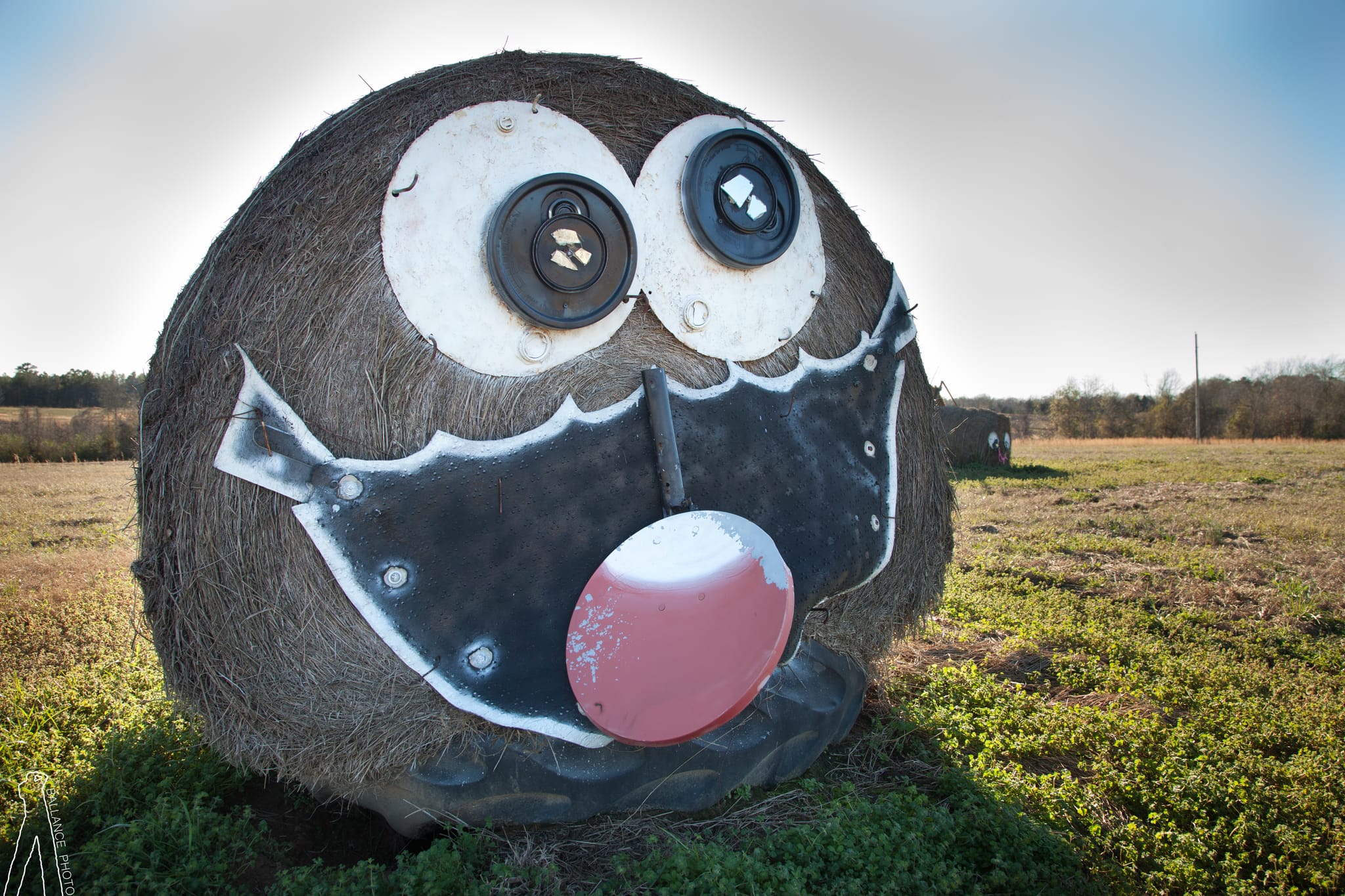 Whimsical Bale