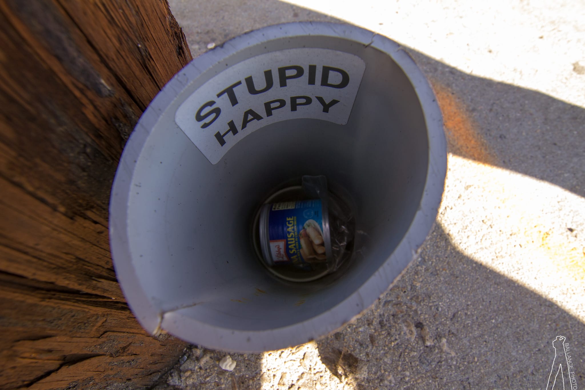 Stupid Happy
