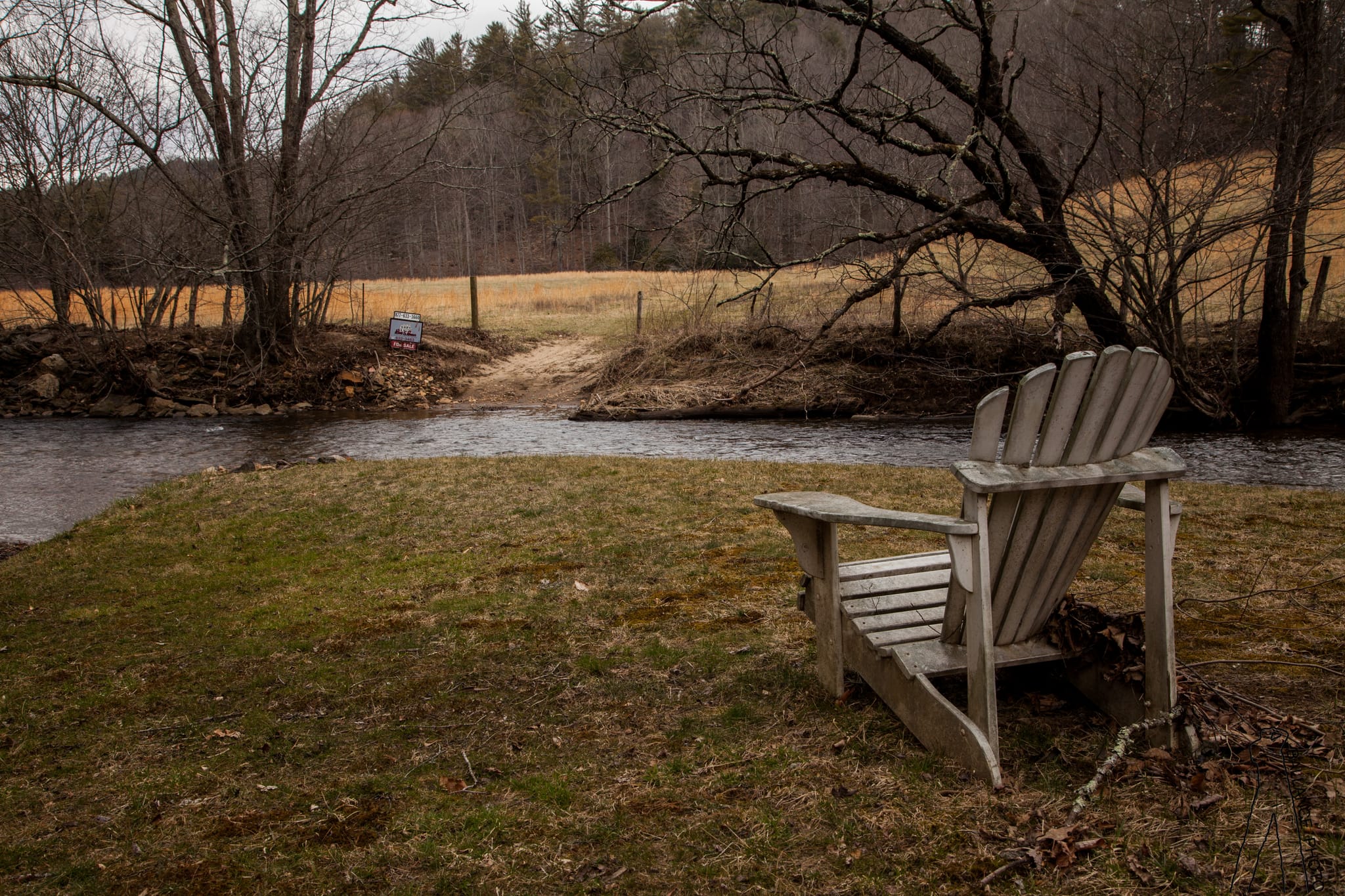 Lounging by the creek