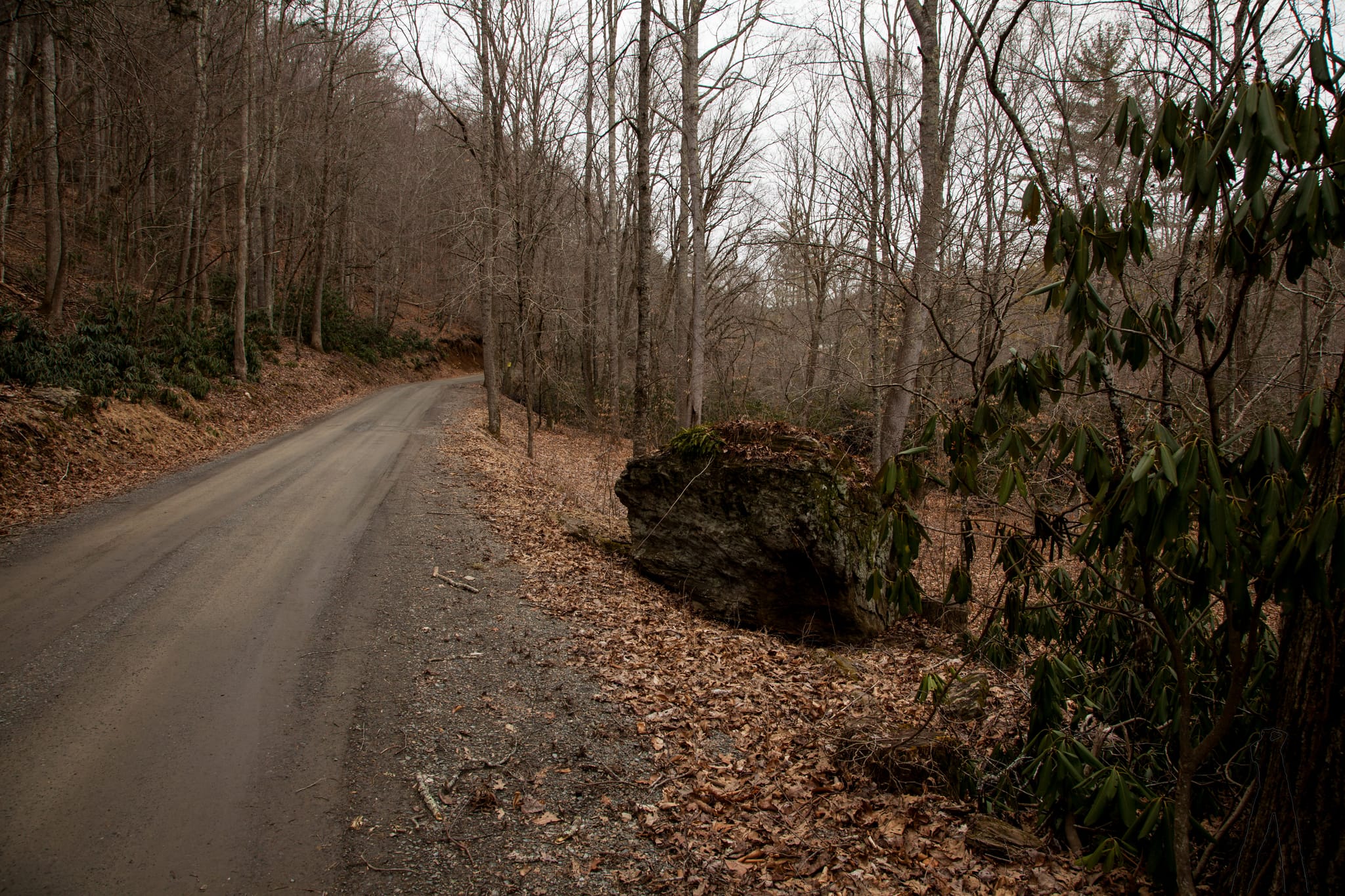 Big Rock by the Road