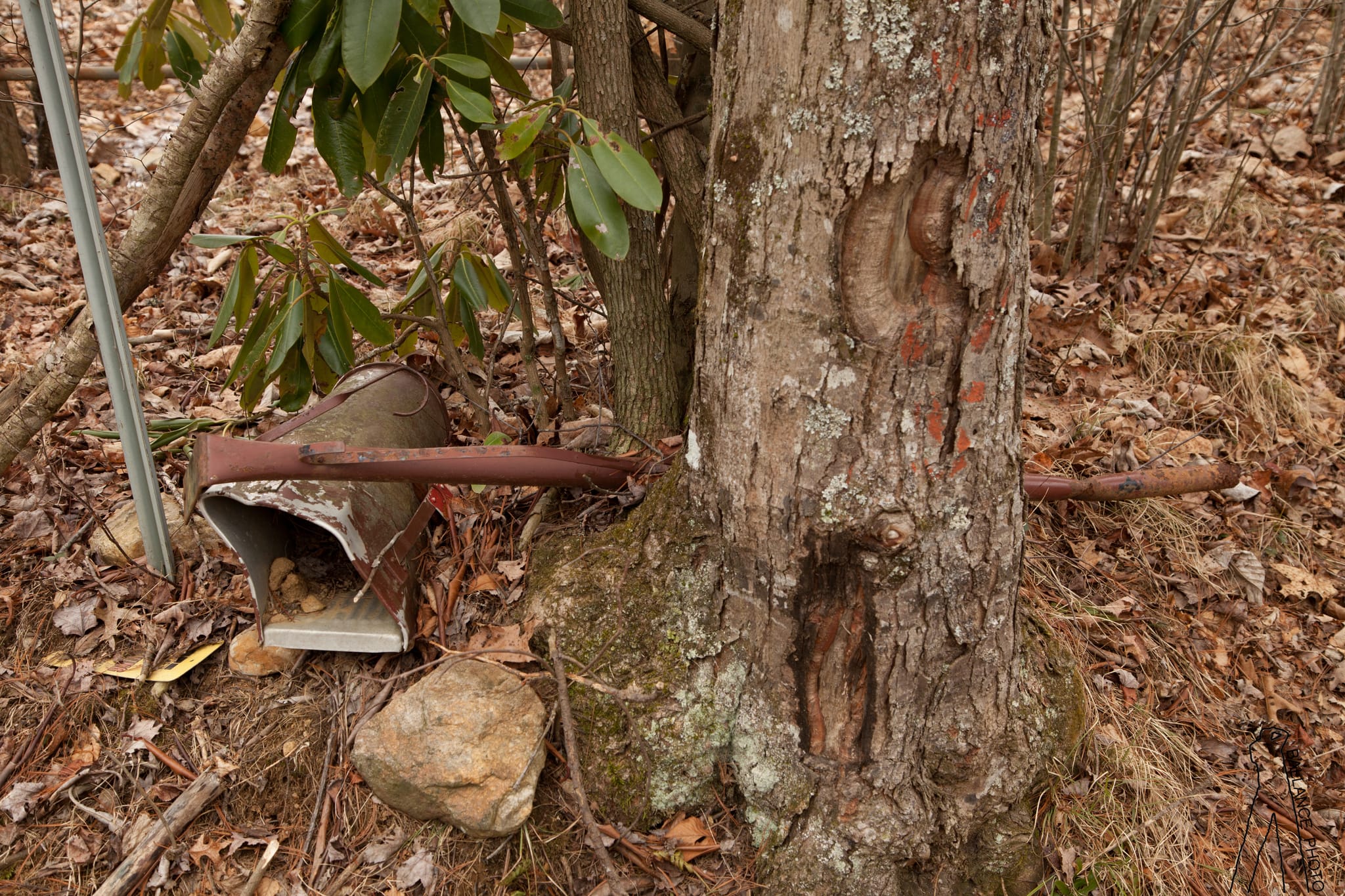 Mailbox has seen better days
