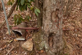 Mailbox has seen better days