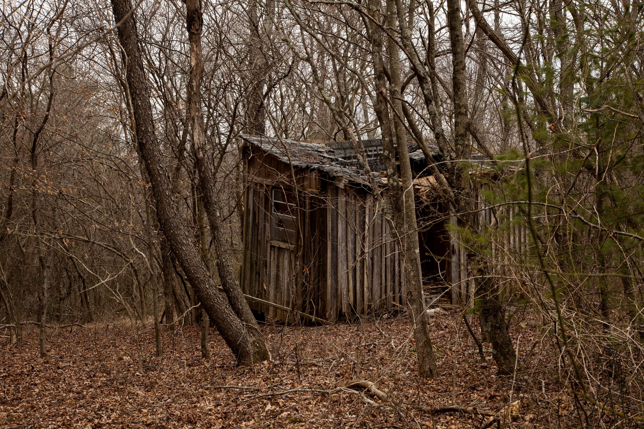 Hunting shack 2
