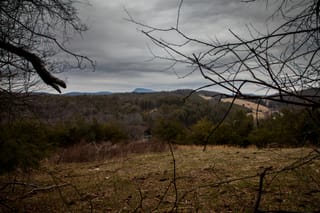 View to the North from up top