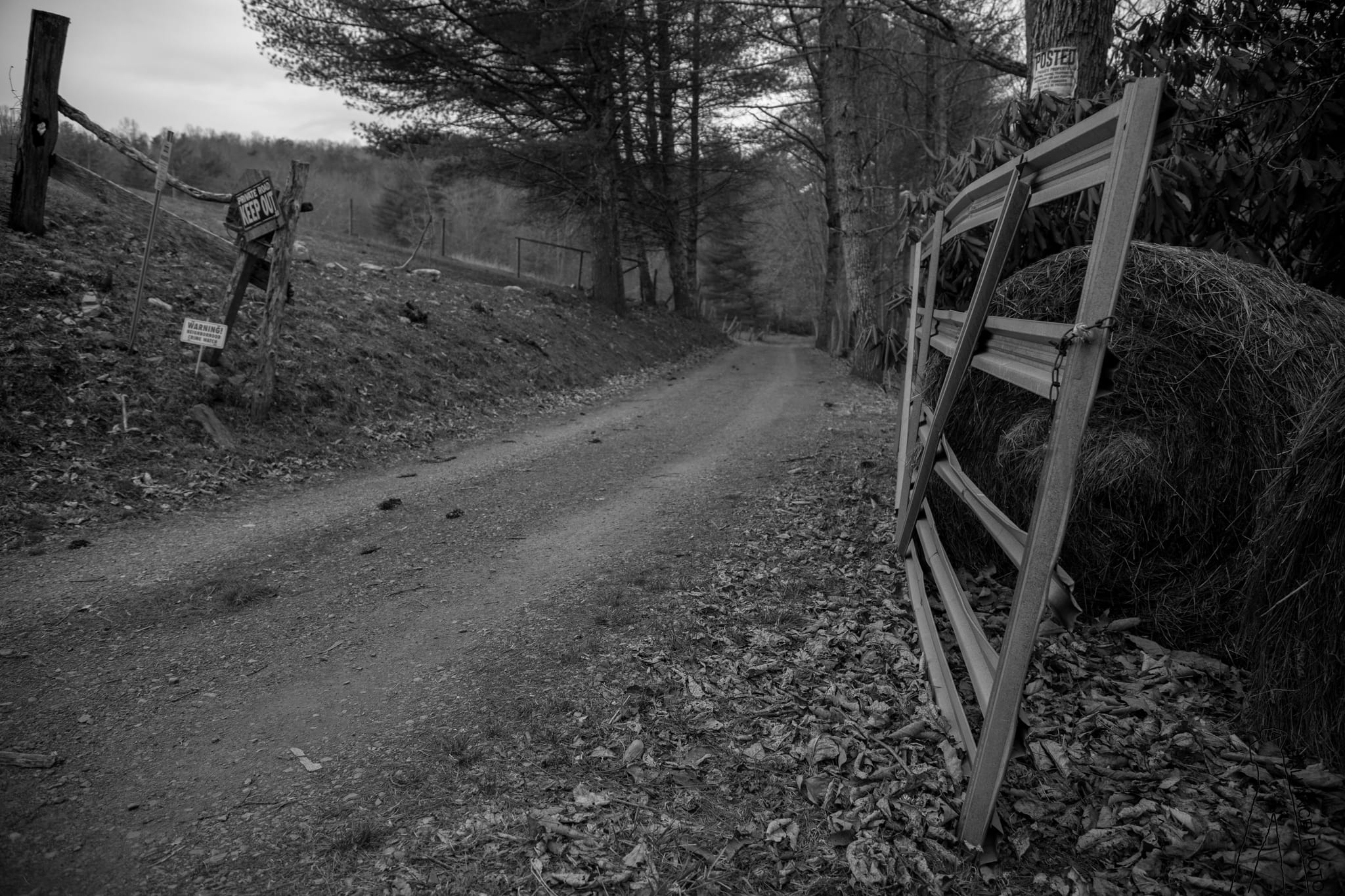Butterfly Road Gate