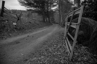 Butterfly Road Gate
