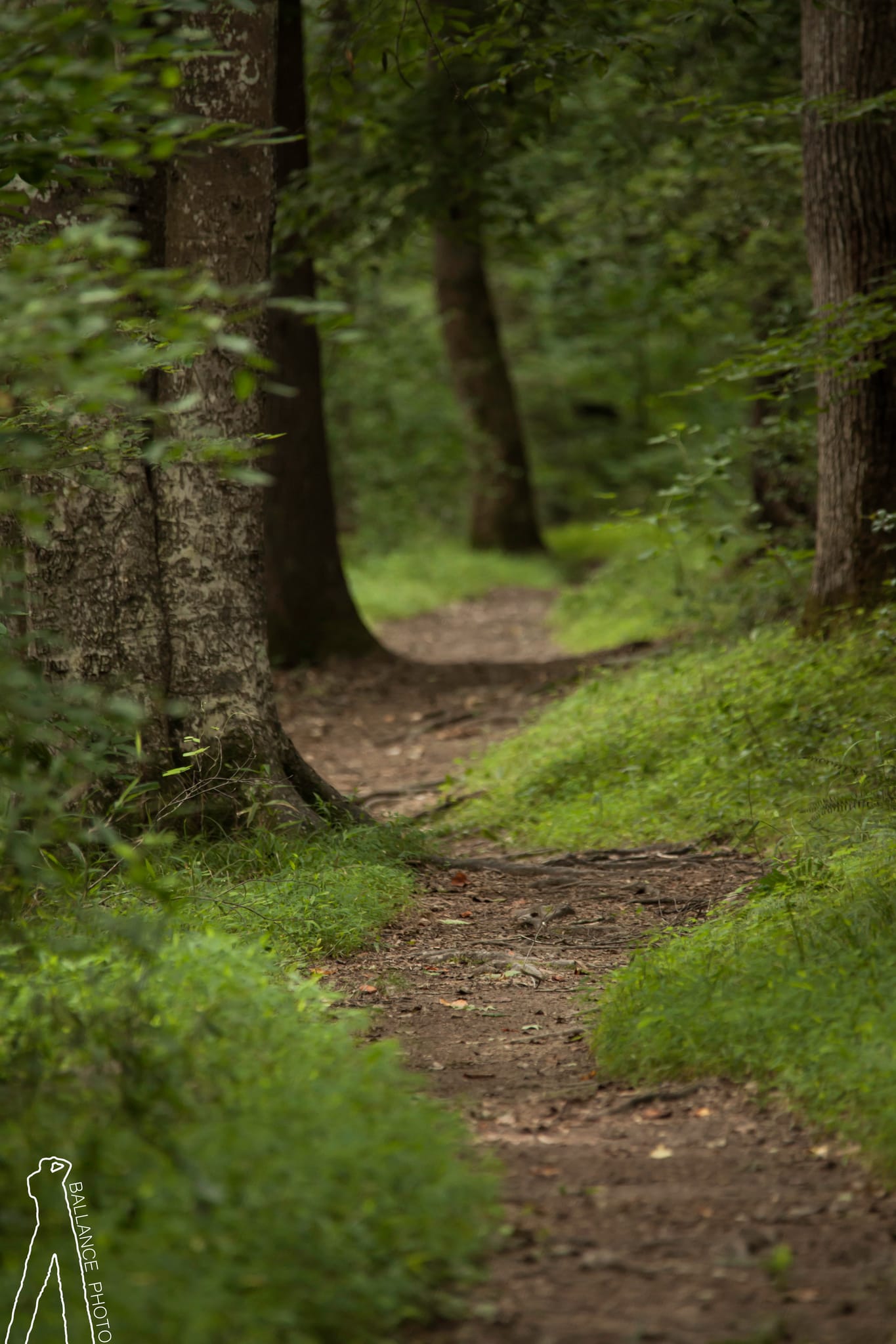 Lansford Canal Trail