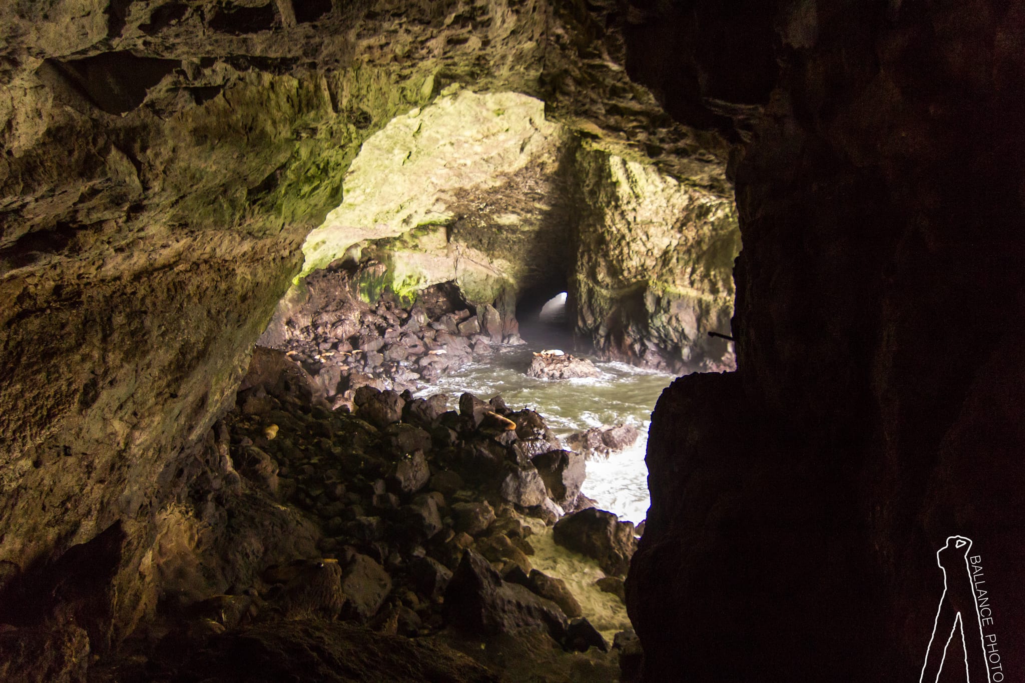 Sea Lion cave