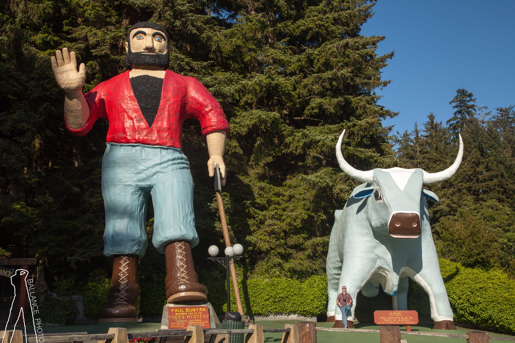 Paul Bunyan and Babe - Tim actual size